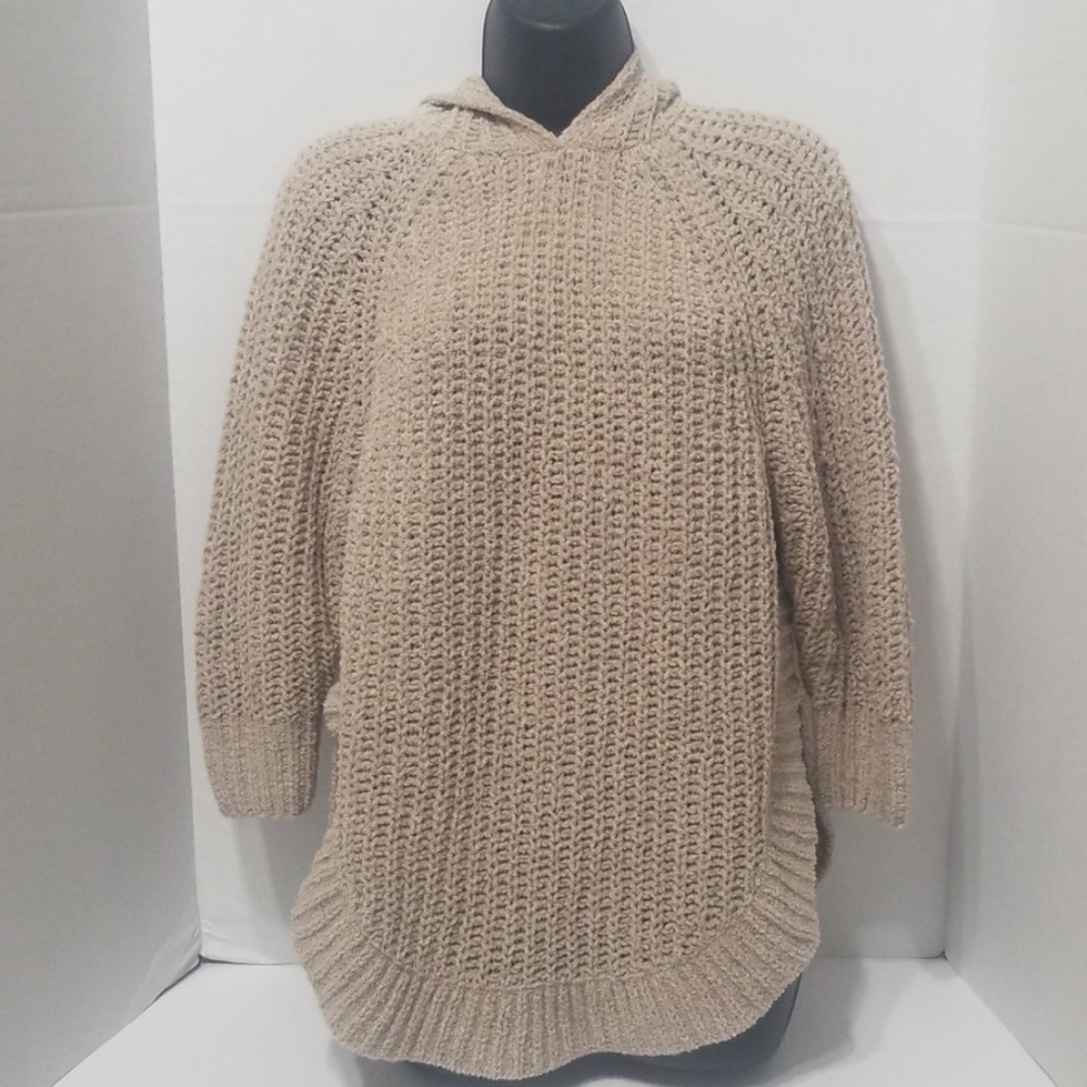 Express Hoodie Sweater